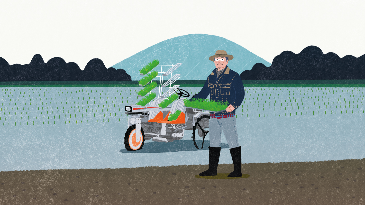 有機栽培お米_三井農園