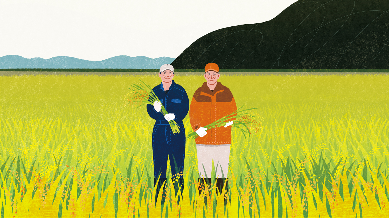 有機栽培お米_なごみ園