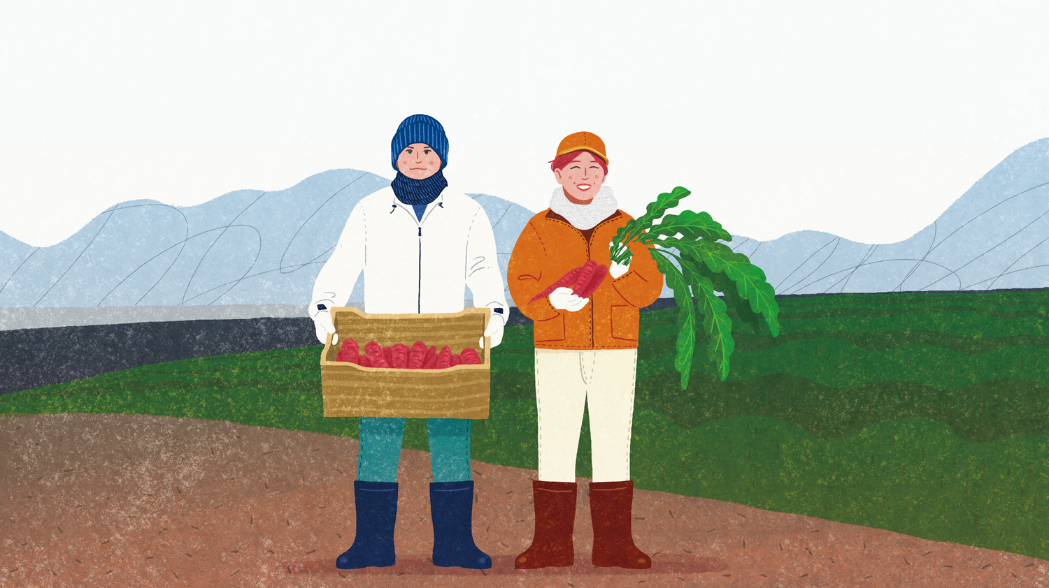 有機栽培野菜_しあわせ野菜畑